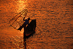 ミャンマーのインレー湖で漁をする漁師