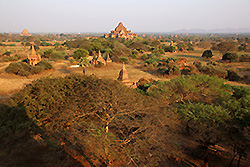 ミャンマーのシュエサンドー・パゴダから見るバガン遺跡群