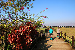 ミャンマーのインレー湖畔