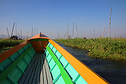 ミャンマーのインレー湖の畑