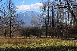 日光国立公園の小田代ヶ原と男体山