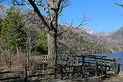 奥日光の湯の湖と橋