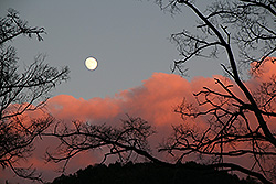 奥日光の夕焼けと月