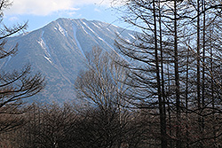 日光国立公園の小田代ヶ原から見た男体山