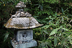 奥塩原の新湯温泉神社の灯篭