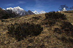 ヒマラヤのシャンボチェの丘とエベレスト山群