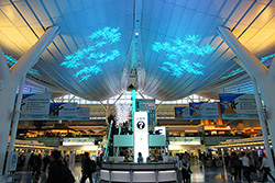 空港全体が輝くイルミネーション！羽田空港のイベントと見どころ紹介