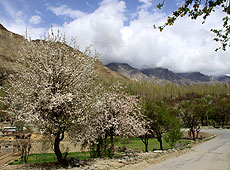 パキスタンのバルティスタン地方の村