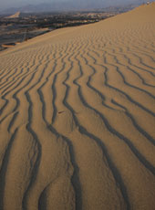 ペルーのイカの砂漠の風紋