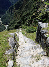ペルーの世界遺産マチュピチュの道