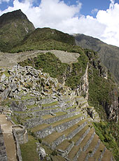 ペルーの世界遺産マチュピチュの段々畑