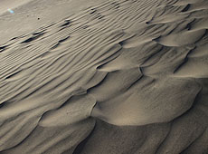 ペルーのイカの砂漠の風紋