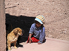 ペルーの街角で遊ぶ子供と犬