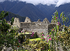 ペルーの世界遺産マチュピチュ遺跡と花