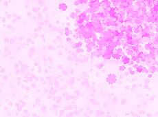 満開の桜吹雪のイメージ