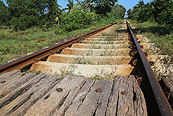 スリランカの鉄道の線路