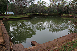 スリランカの世界遺産シーギリヤ・ロックの池