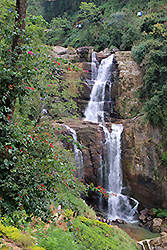 スリランカ最大の紅茶の産地ヌワラ・エリヤの滝