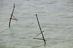 スリランカの世界遺産ゴールの海にしかけた漁の道具