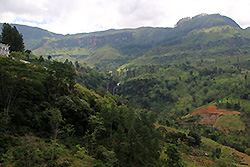 スリランカ最大の紅茶の産地ヌワラ・エリヤ