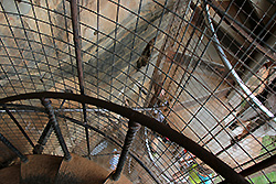 スリランカの世界遺産シーギリヤ・ロックの螺旋階段