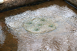 スリランカの世界遺産シーギリヤ・ロックの水の広場の噴水