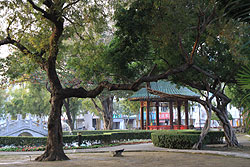台湾の台中の公園