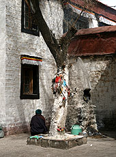 チベットの小昭寺の中庭