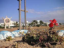 チュニジアの海岸沿いの公園