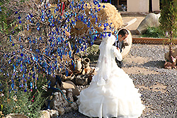 カッパドキアの奇岩の麓での結婚式