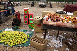 カシュガルの市場の果物 