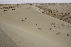 ウイグル自治区のタクラマカン砂漠