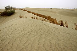 新疆ウイグル自治区のタクラマカン砂漠