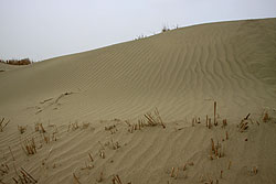 新疆ウイグル自治区のタクラマカン砂漠