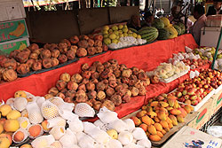 クチャの市場の果物屋