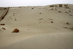 シルクロードのタクラマカン砂漠