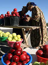 ウズベキスタンのシルクロードのリンゴ売り